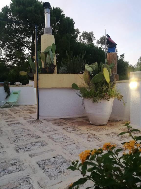 Zahrada ubytování La Terrazza on Acquaviva