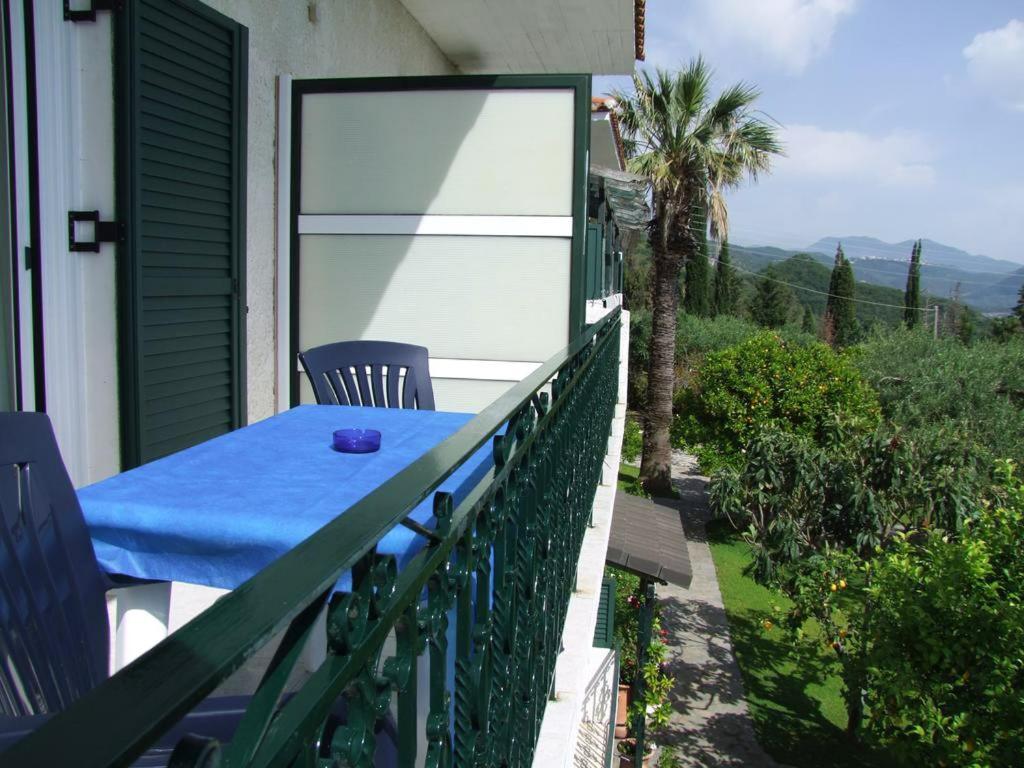 a balcony with a table and chairs and a palm tree at Giovanni Group Apartments in Syvota