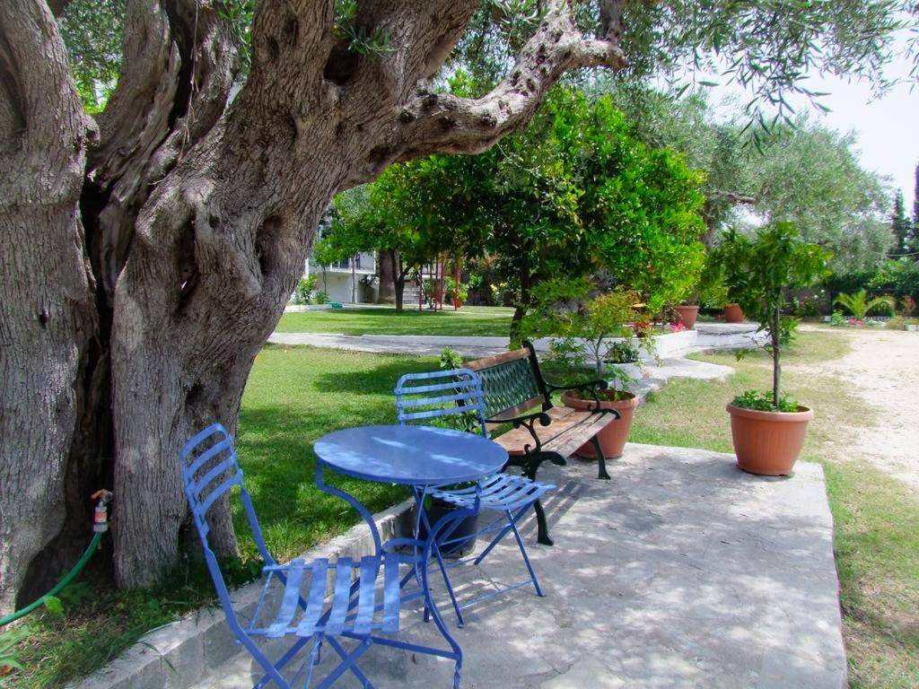 a blue table and chairs next to a tree at Giovanni Group Apartments in Syvota