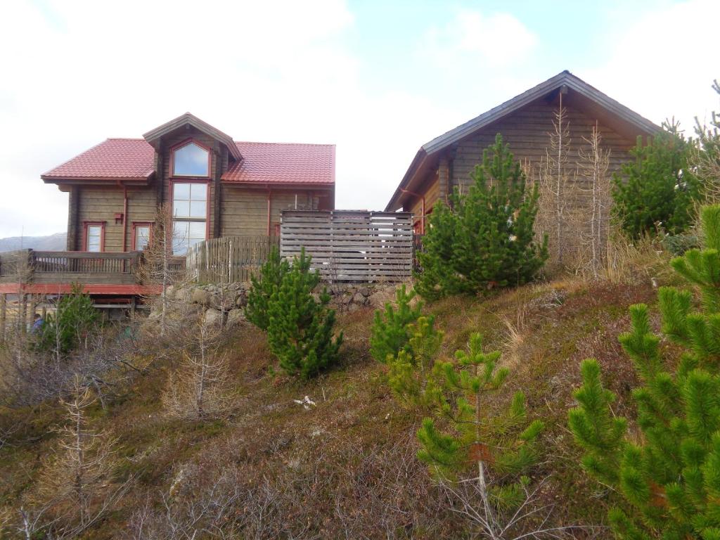 a house on top of a hill with trees at Family Home in Fáskrúðsfjörður