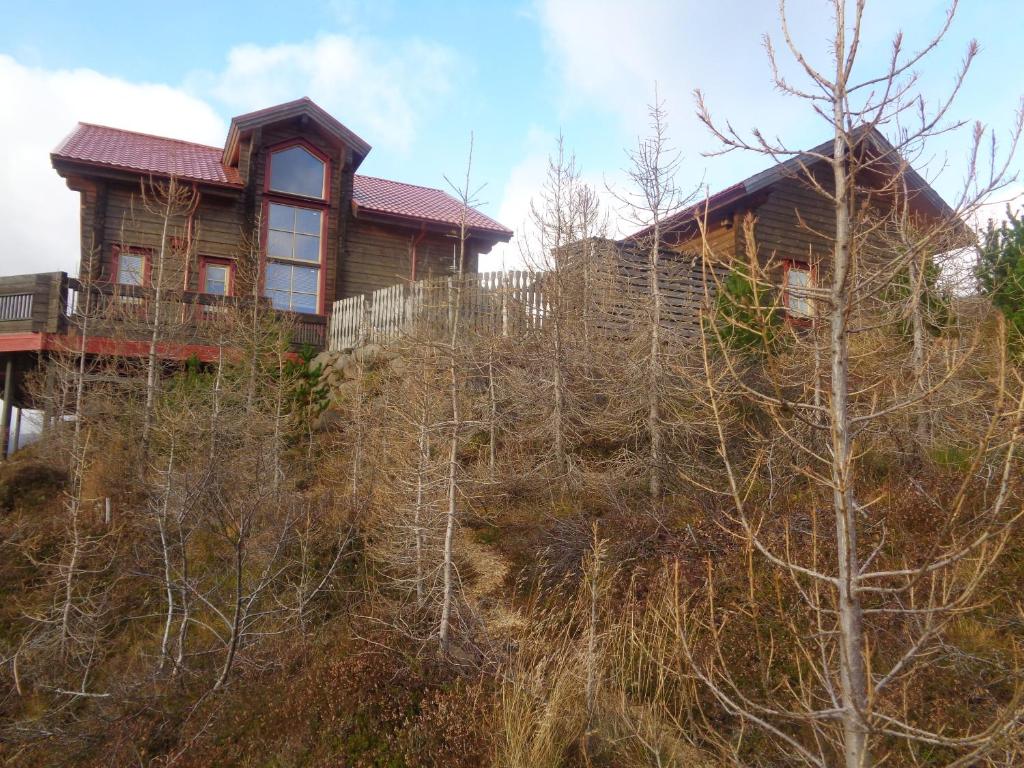 a house on top of a hill with trees at Family Home in Fáskrúðsfjörður