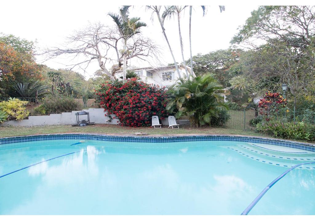 una grande piscina blu di fronte a una casa di 16 st Johns - Apartment a Port Shepstone