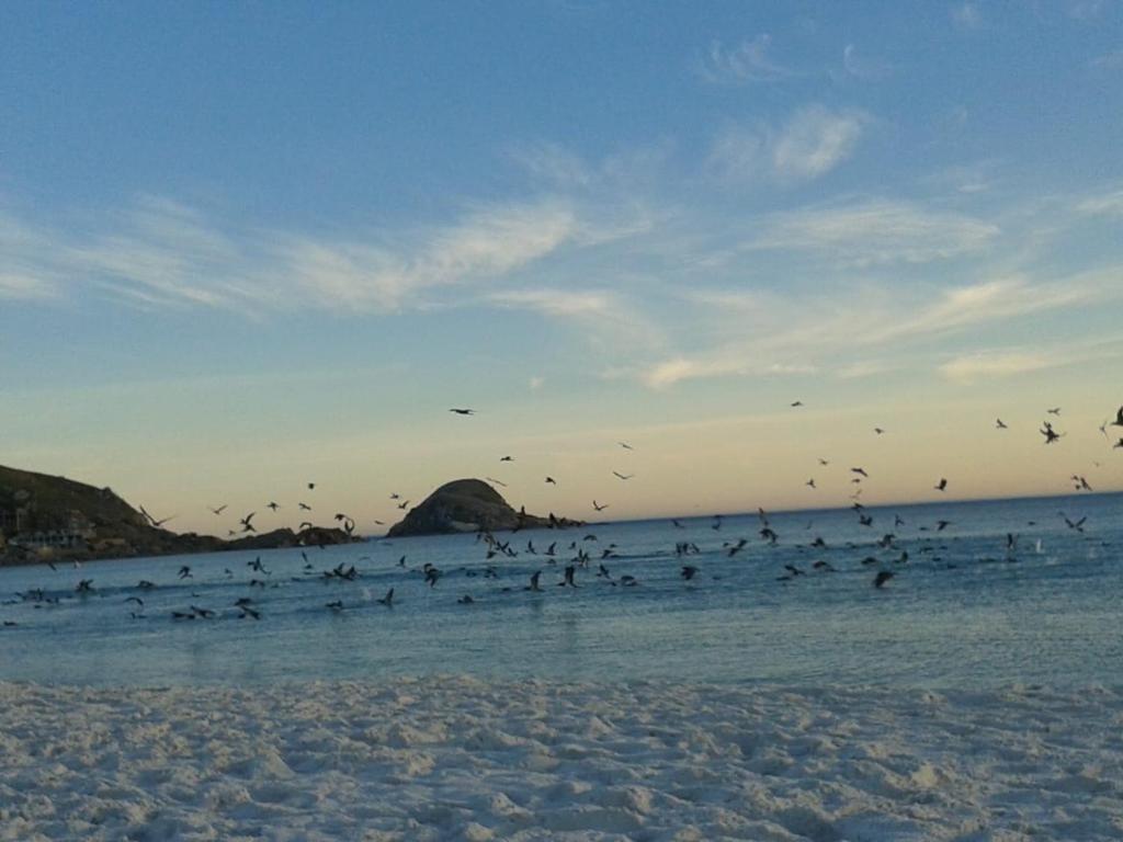  De frente para o Caribe brasileiro.