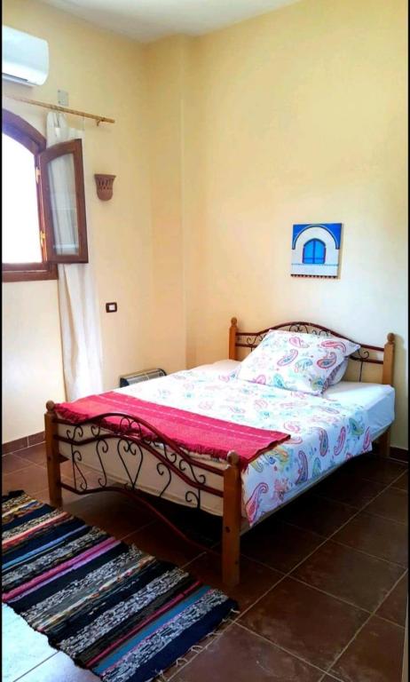 Habibi Nubian Guest House-Nubian Hospitality - 2