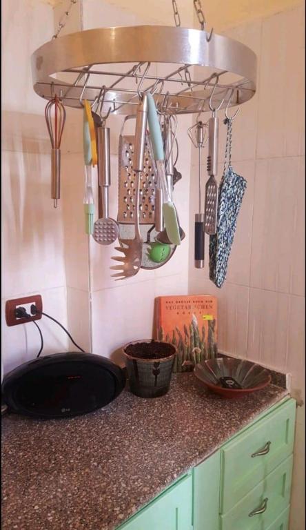 Habibi Nubian Guest House-Nubian Hospitality - 19