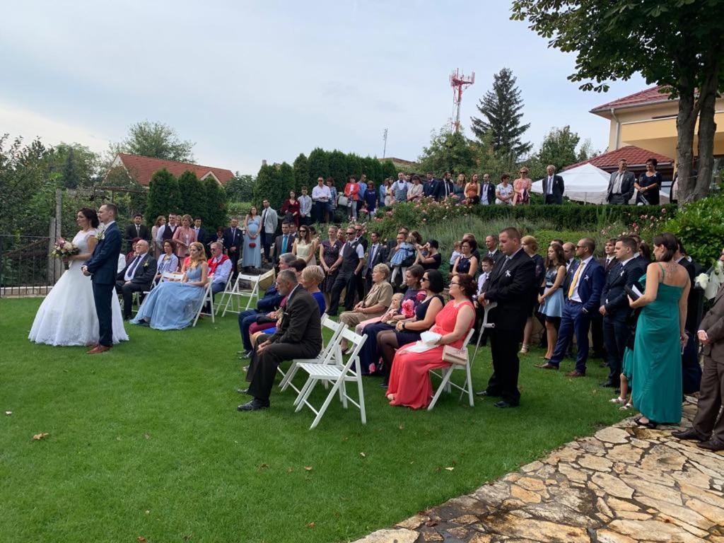 Hosté ubytování Mlyn Penzion & Wellness