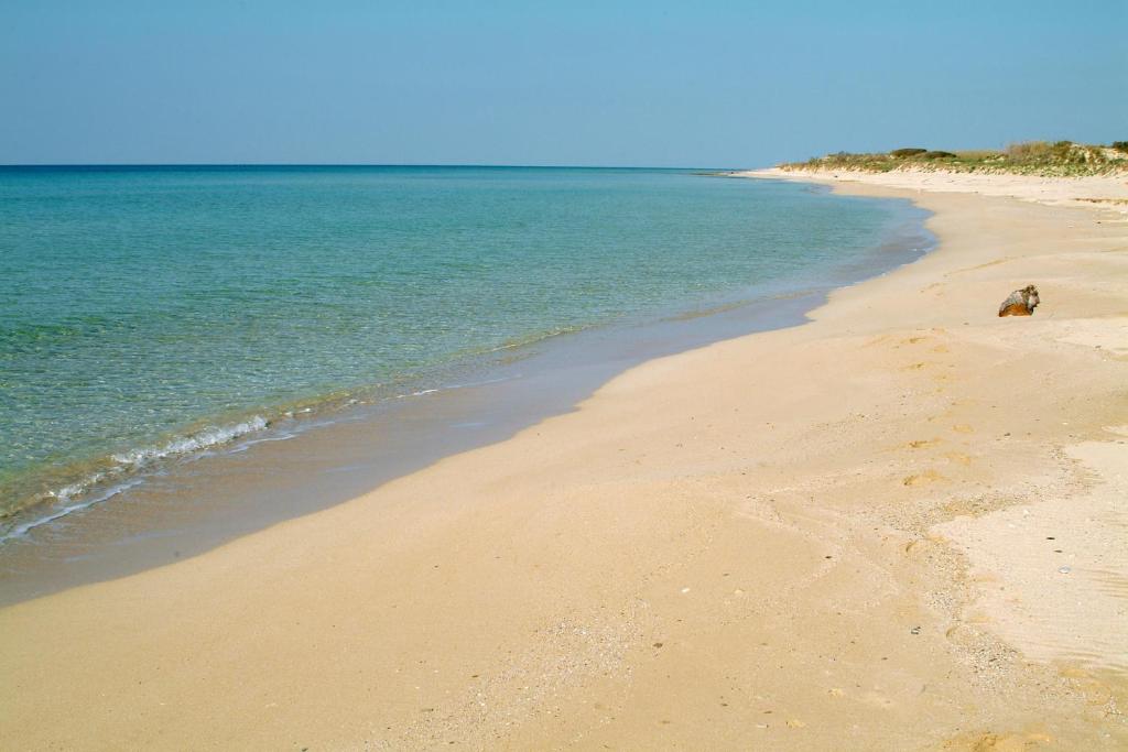 Príroda v okolí dovolenkového domu