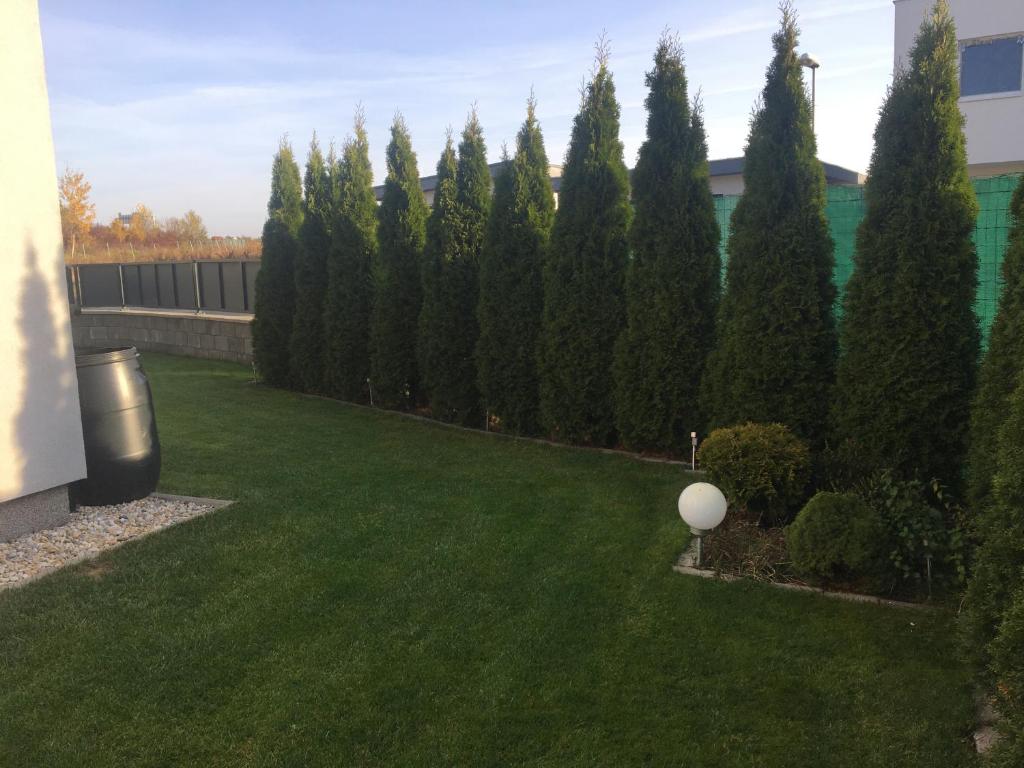Zahrada ubytování Apartmán Tatry-Poprad