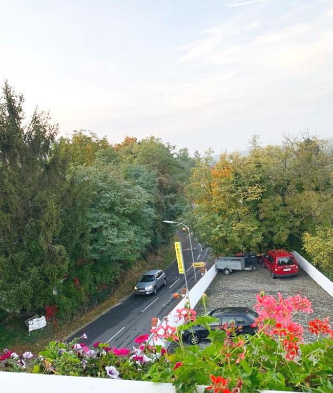 Zahrada ubytování Pension Huber
