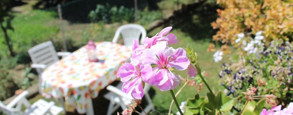 Zahrada ubytování B&B Via Roma