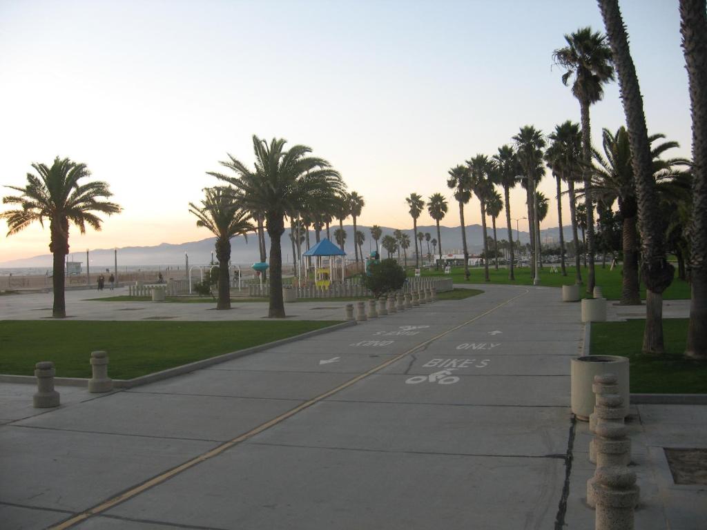 Venice Beach Delight - Large Studio