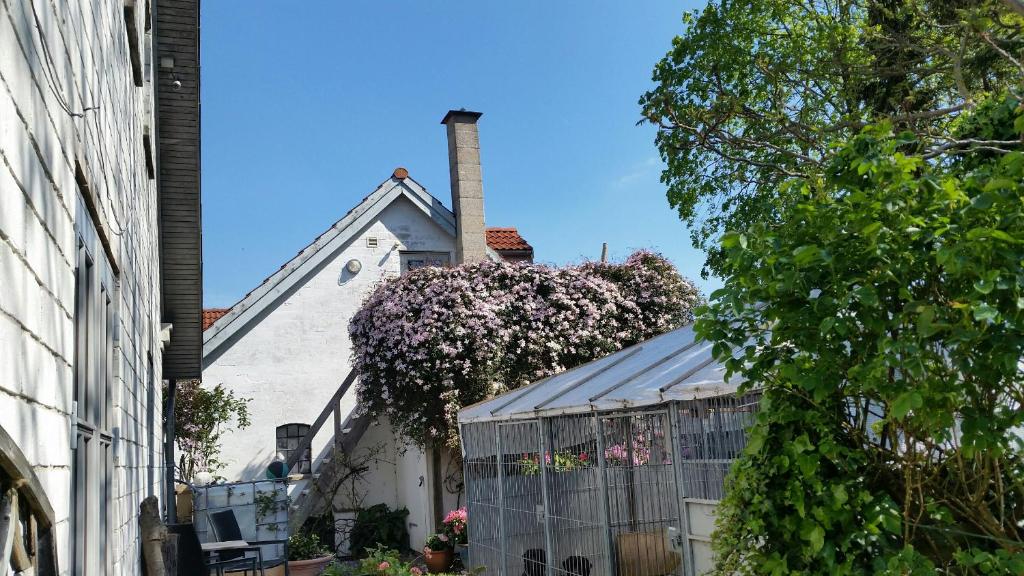 a house with purple flowers on the side of it at Ferie Lejligheden Landlyst in Rødvig