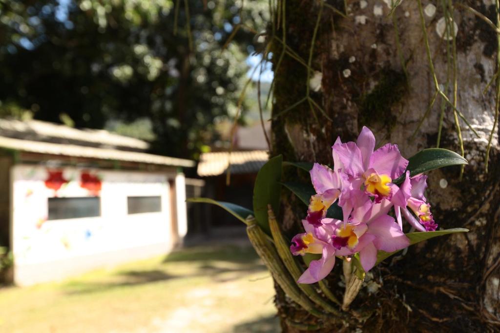  POUSADA DAS ORQUIDEAS20