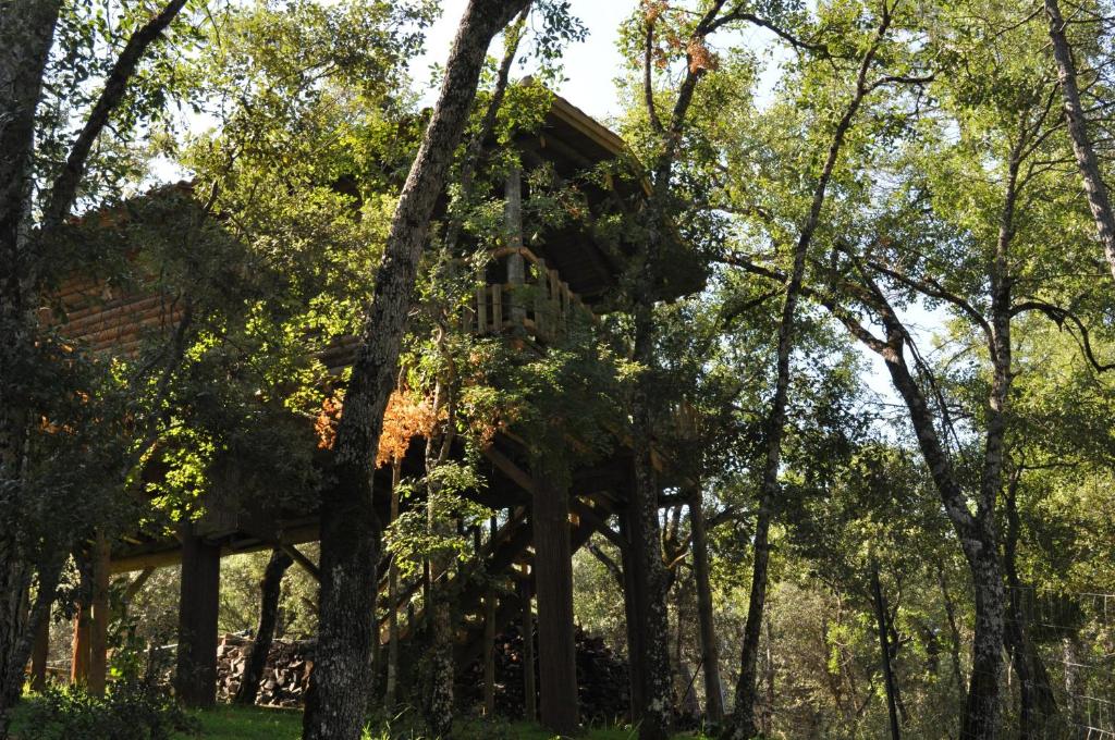 Imagen de la galería de Los Nidos De Santa Maria, en Arroyo Frío