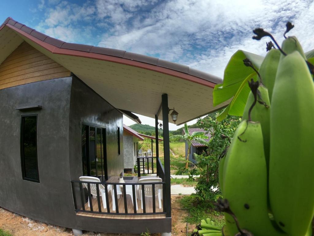 Green Mountain Resort Koh Yao - 9