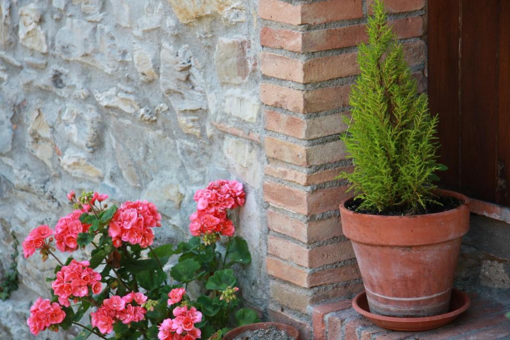 Fotografie z fotogalerie ubytování Borgo Fango v destinaci Montieri