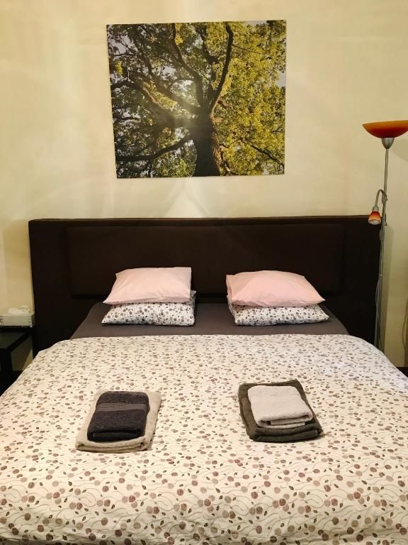 Postel nebo postele na pokoji v ubytování Apartmán Stursovka