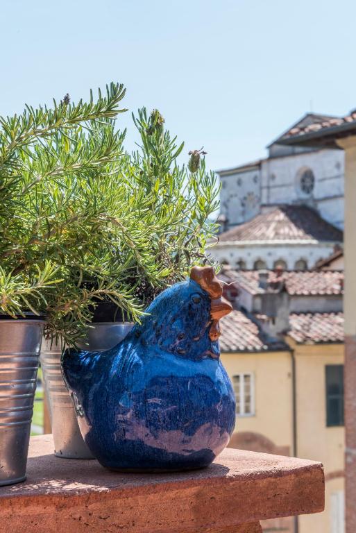 Vonkajšia záhrada v ubytovaní TERRAZZA COCCODE' spazioso con vista mozzafiato!