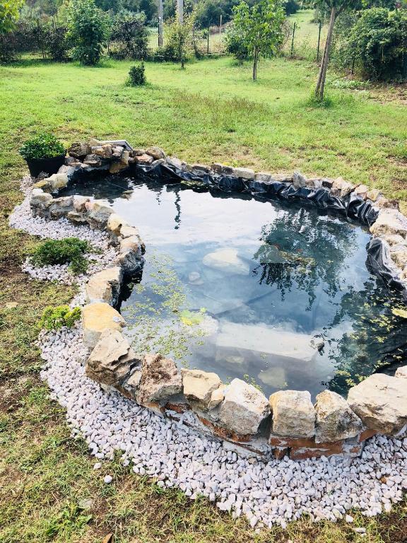 Vonkajšia záhrada v ubytovaní Villa Cristal