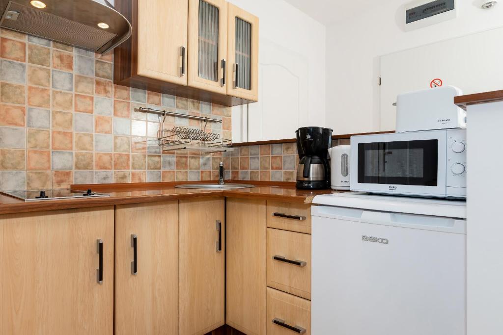 Kuchyňa alebo kuchynka v ubytovaní Jantar Apartamenty- Zielone Tarasy