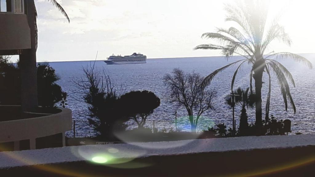 a cruise ship in the water with a palm tree at Doca do Cavacas Apartment in Funchal