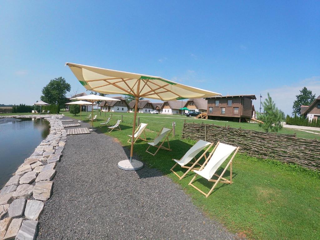 Příroda nedaleko apartmánu