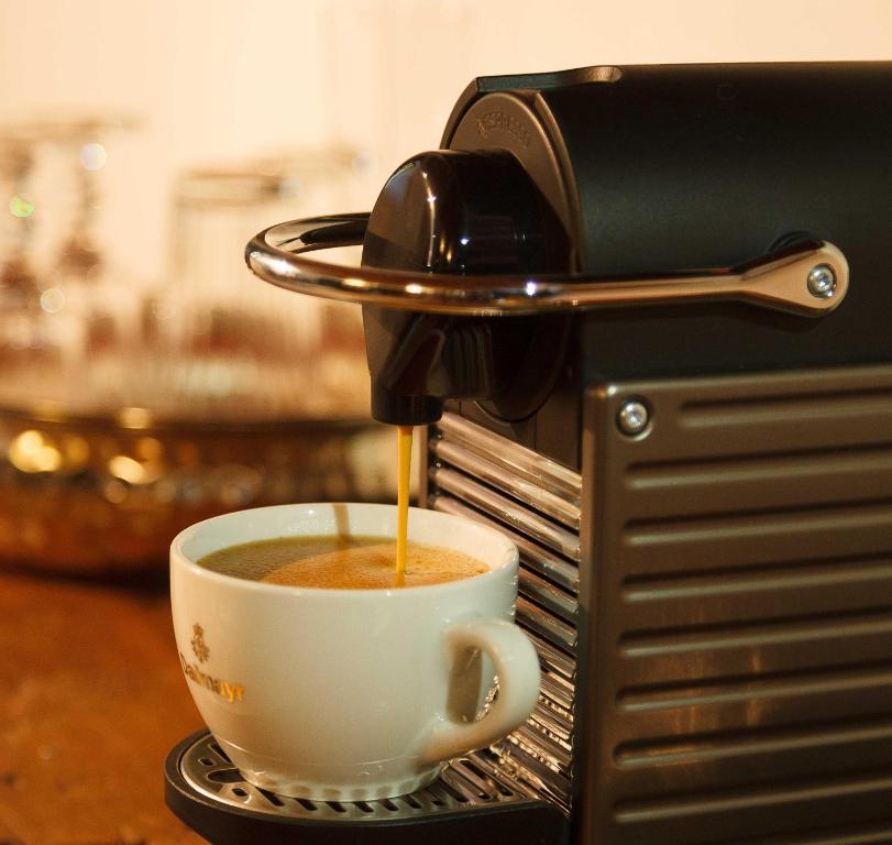 Living History (adults only) - 13