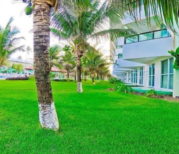  Ancorar Ferreira Flat
