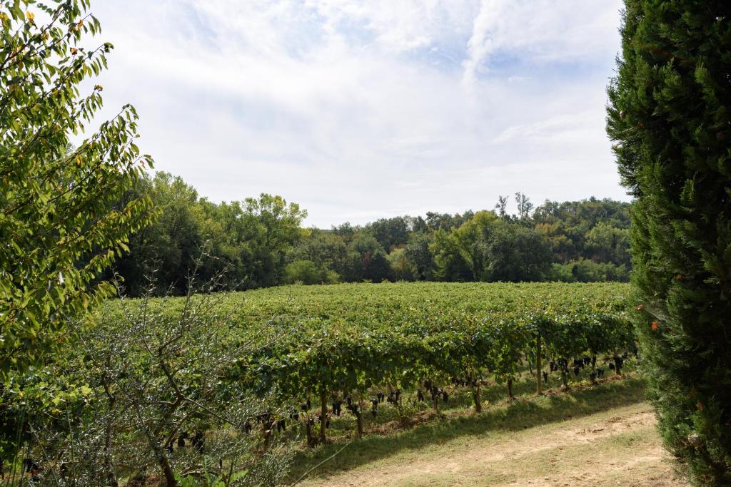 Zdjęcie z galerii obiektu Il Molinaccio di Montepulciano w mieście Montepulciano