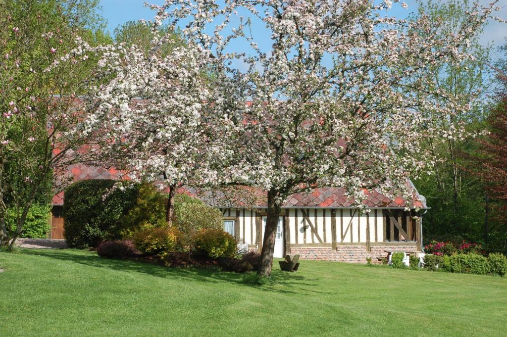 a tree in a yard in front of a house at B&B La Baronniére in Cordebugle