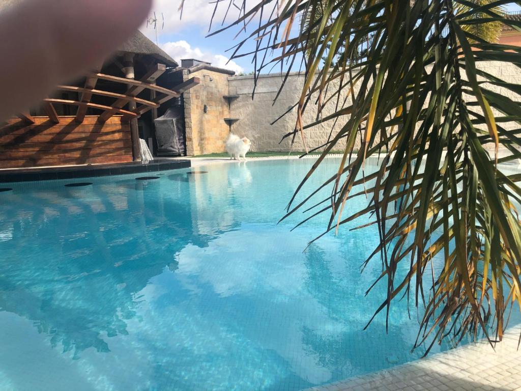 Basen w obiekcie Villa Campito lub w pobliżu