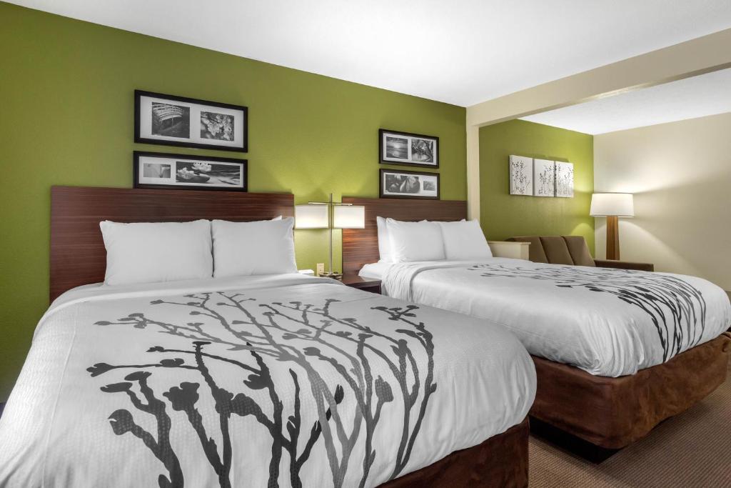 Sleep Inn & Suites Allendale - Queen Suite With Two Queen Beds - Non-Smoking