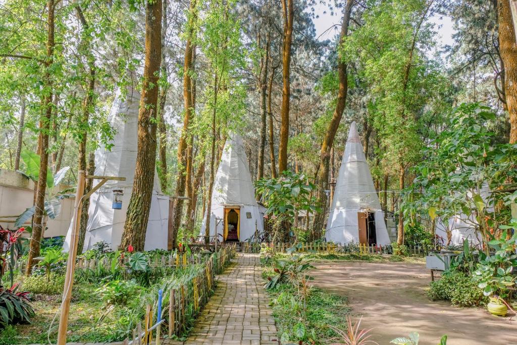 a group of white tents in a forest of trees at RedDoorz @ Apache Camp in Junggo