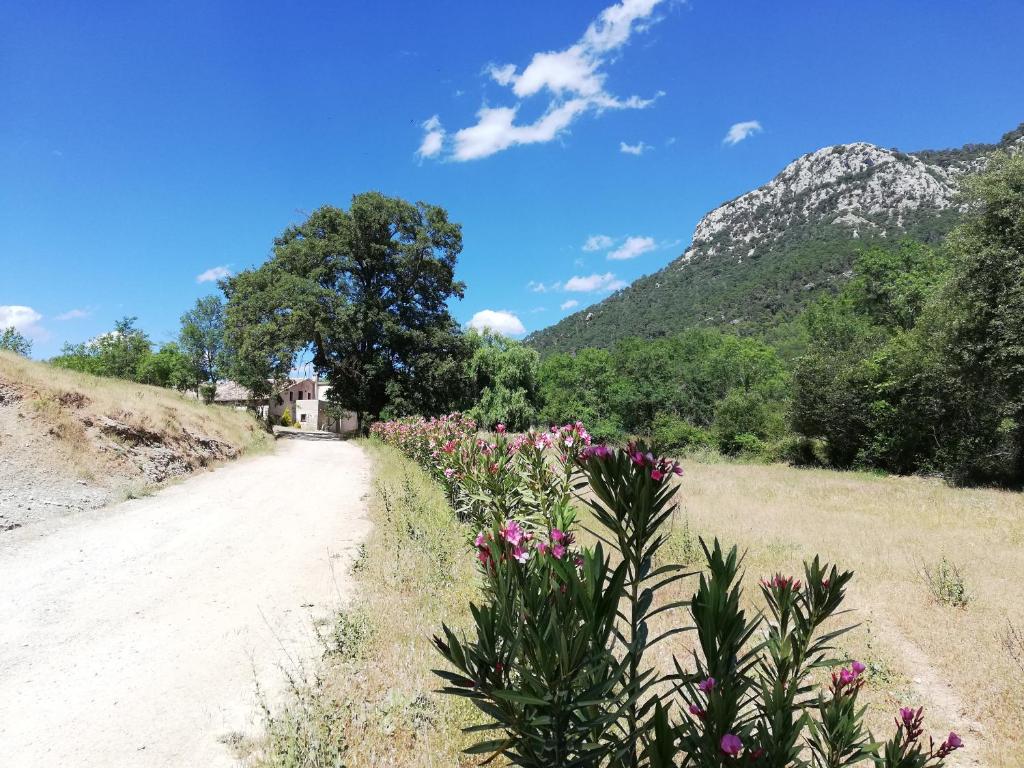 Príroda v okolí apartmánu