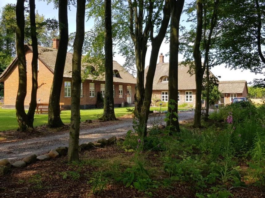 霍爾斯特布羅的住宿－Agerfeld gl. skole，前面有大量树木的房子