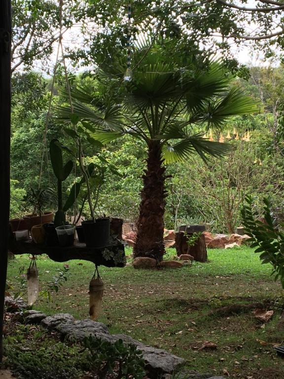 Zahrada ubytování Rancho Ecologico Oasis de Luz