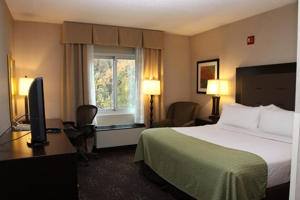 Holiday Inn Budd Lake - Rockaway Area, an IHG Hotel - Chambre King Standard