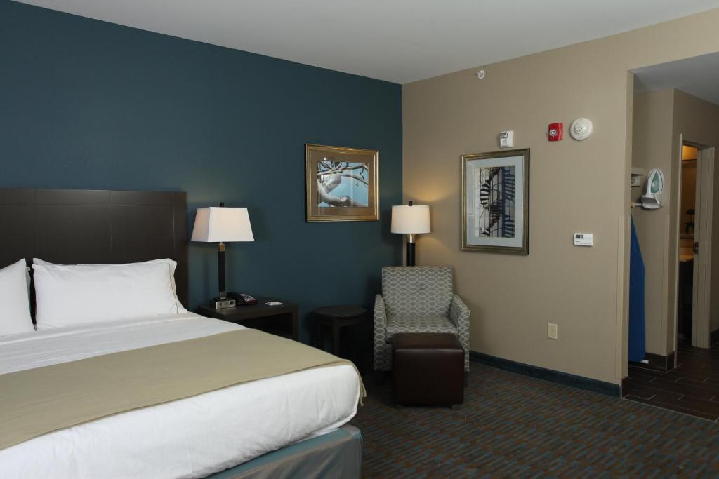Holiday Inn Express Hotel & Suites Goldsboro - Base Area by IHG - Suite Met Rolstoeltoegankelijk Bad - Niet-roken