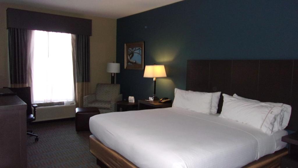 Holiday Inn Express Hotel & Suites Goldsboro - Base Area by IHG - Standaard King Kamer