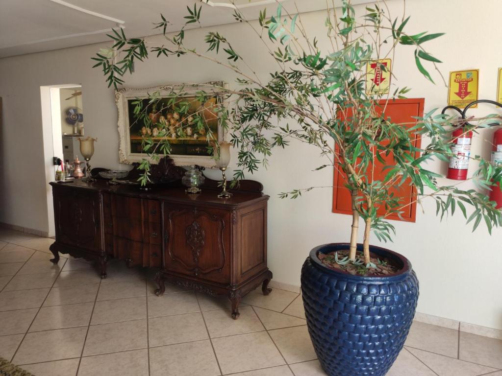  Olga Kehdi Residence