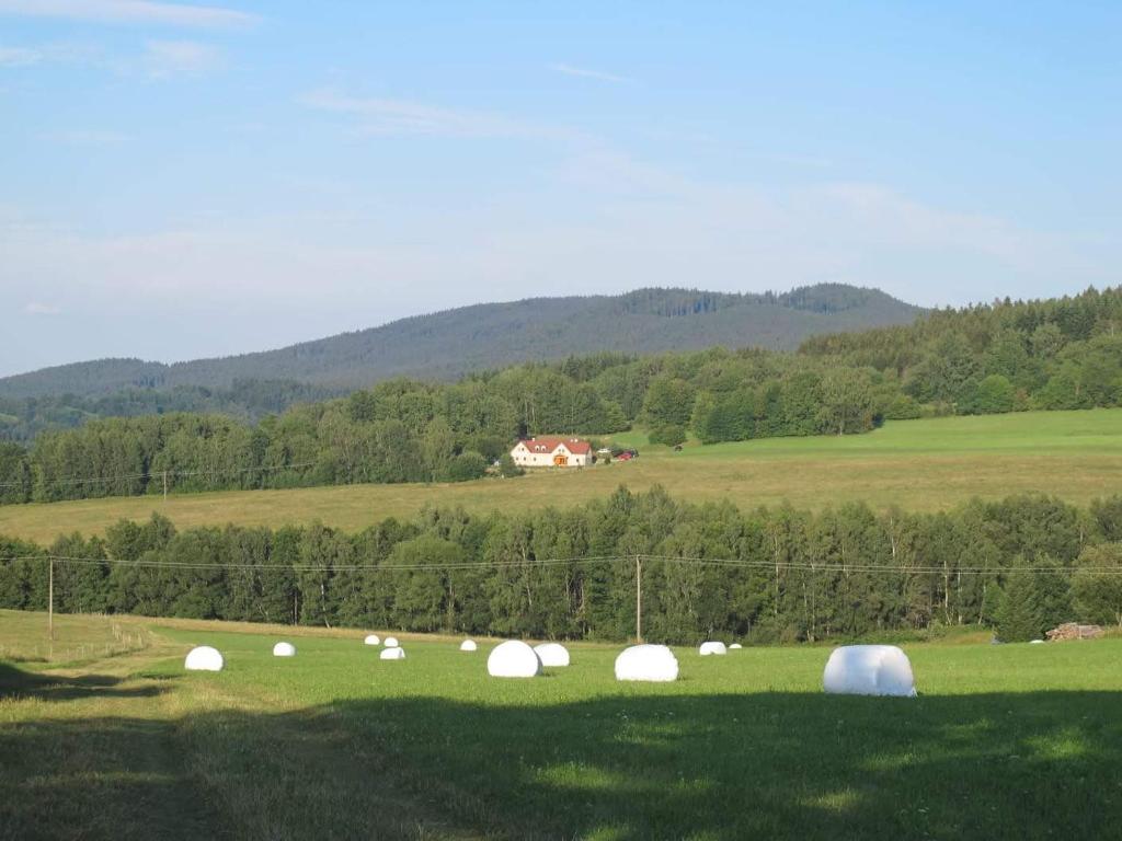 Příroda nedaleko apartmánu