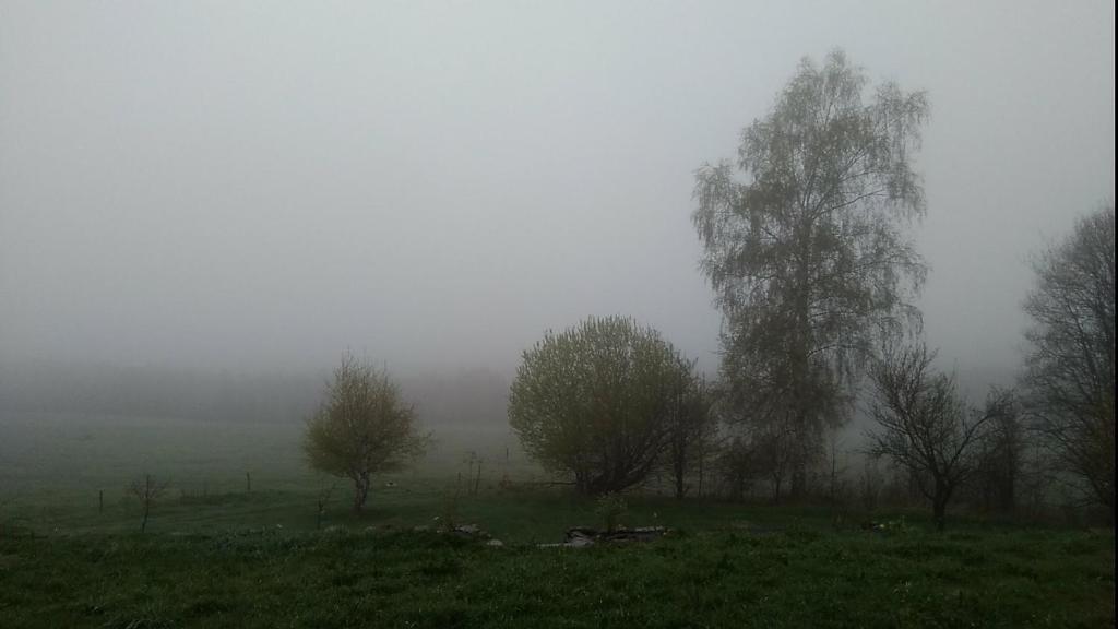 Příroda nedaleko apartmánu