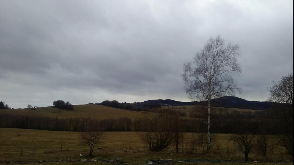 Příroda nedaleko apartmánu