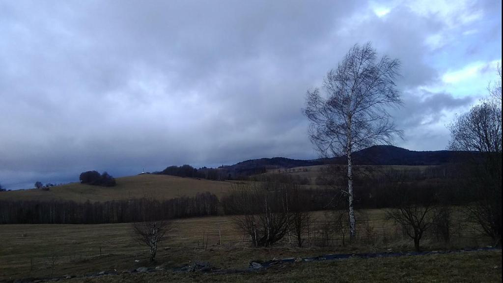 Příroda nedaleko apartmánu