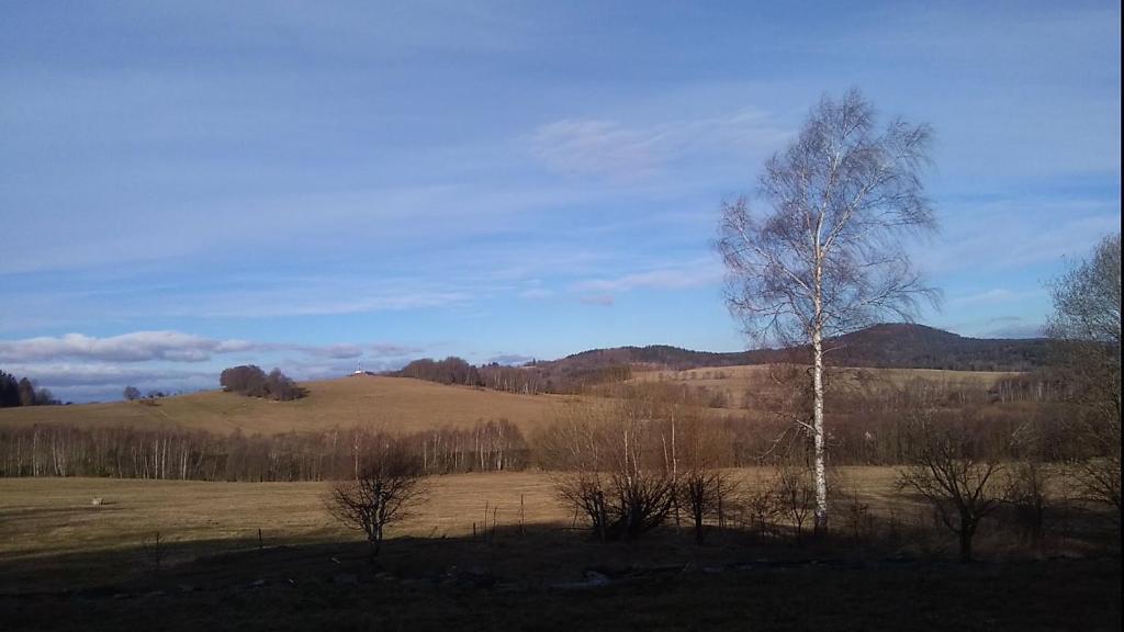 Příroda nedaleko apartmánu