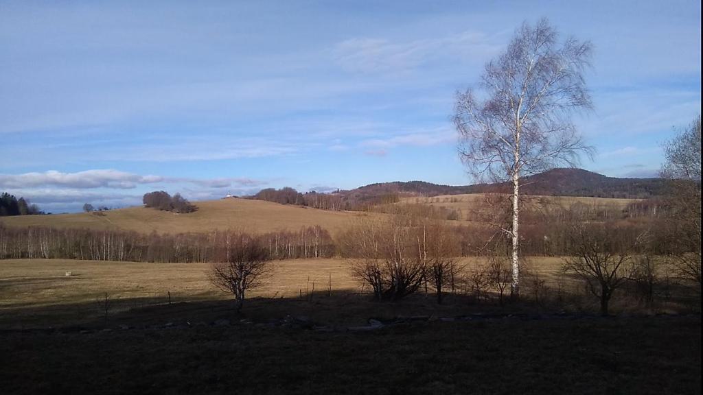 Příroda nedaleko apartmánu