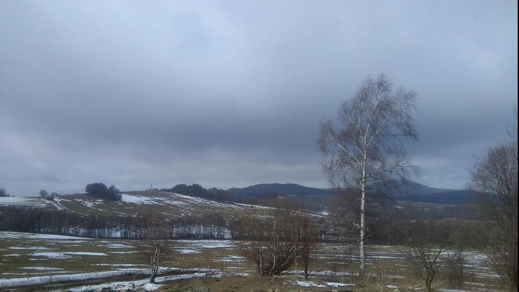Příroda nedaleko apartmánu