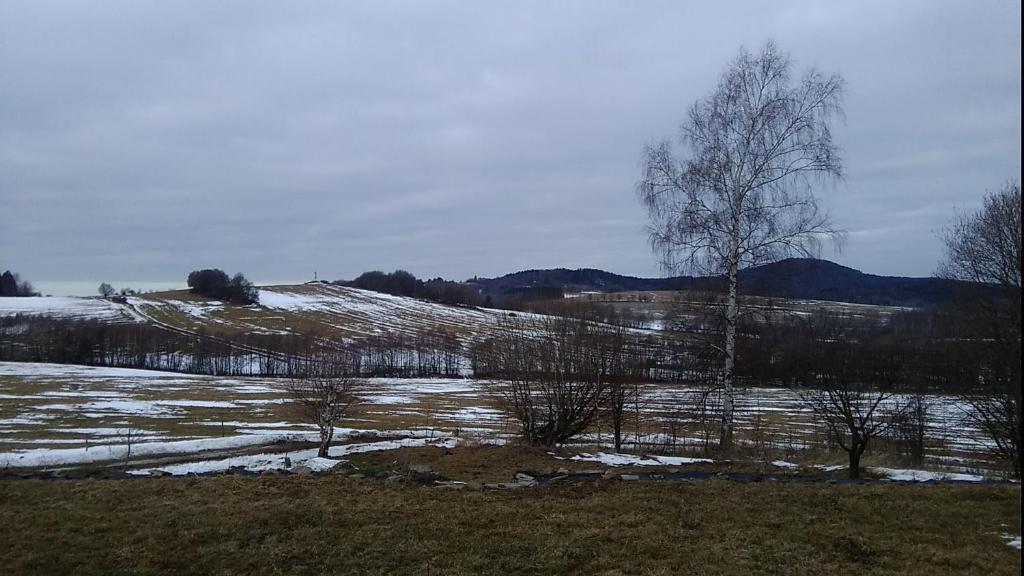 Příroda nedaleko apartmánu