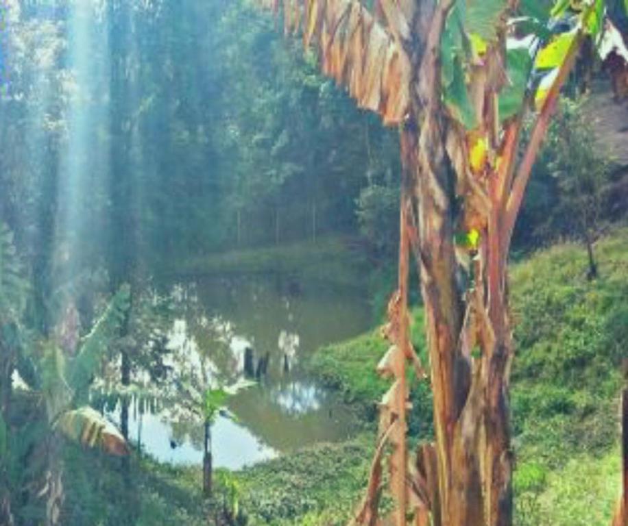  Rancho Lourenço