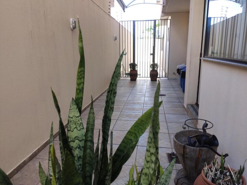  Olga Kehdi Residence